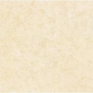 Gạch Trường Thịnh TT88010